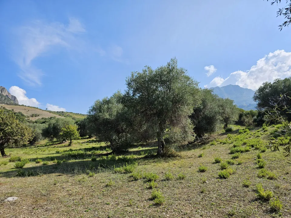 Helårsgrund i Collesano, Palermo - foto 1